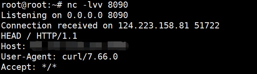 image-20240216230905126