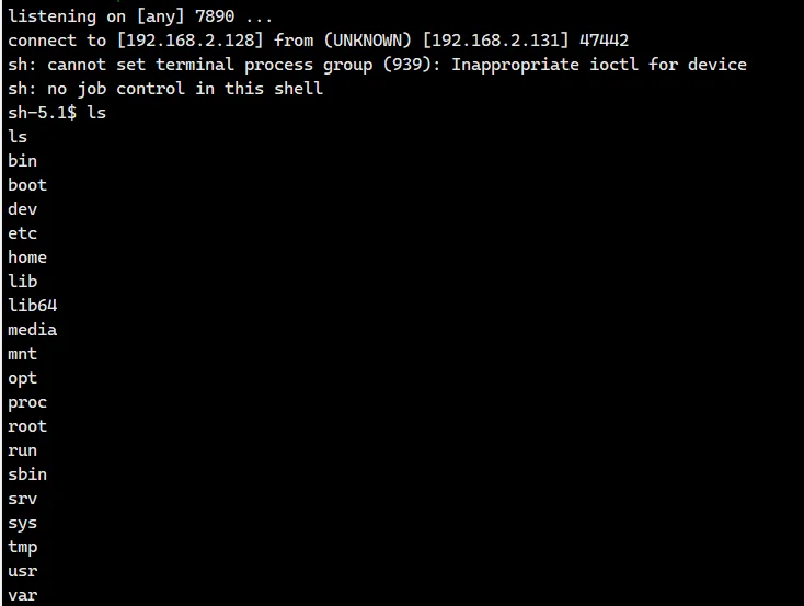 image-20240306224705436