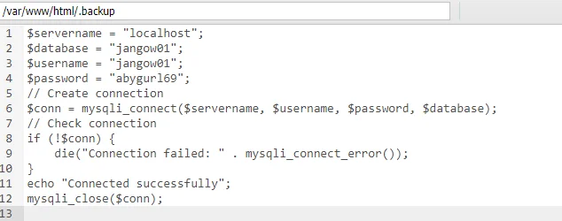 image-20240308131055774