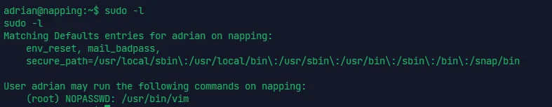 image-20240312225037332