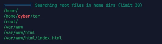 image-20240317153835245