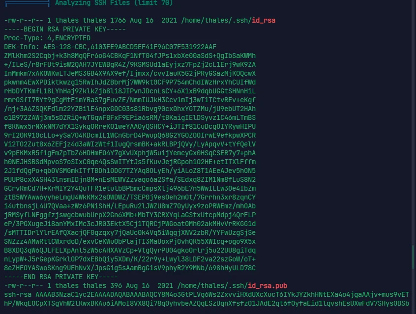 image-20240325163208157