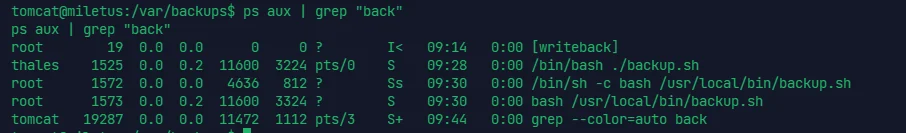 image-20240325174435768