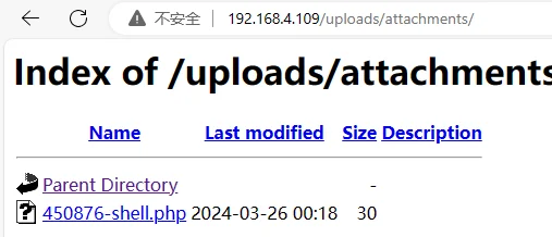 image-20240326121900055